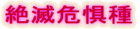 Ŋ뜜